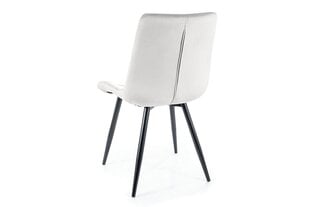 Набор из 4-х обеденных стульев Signal Ralph Velvet, серый/черный цвет цена и информация | Стулья для кухни и столовой | pigu.lt