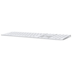 Клавиатура Apple Magic MQ052S/A (Швеция) цена и информация | Клавиатуры | pigu.lt