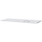 Apple Magic Keyboard MQ052S/A kaina ir informacija | Klaviatūros | pigu.lt