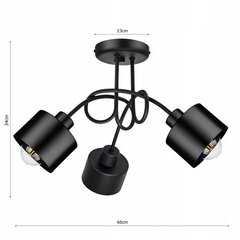 Pakabinamas lubinis šviestuvas Ledlux, juodas kaina ir informacija | Pakabinami šviestuvai | pigu.lt
