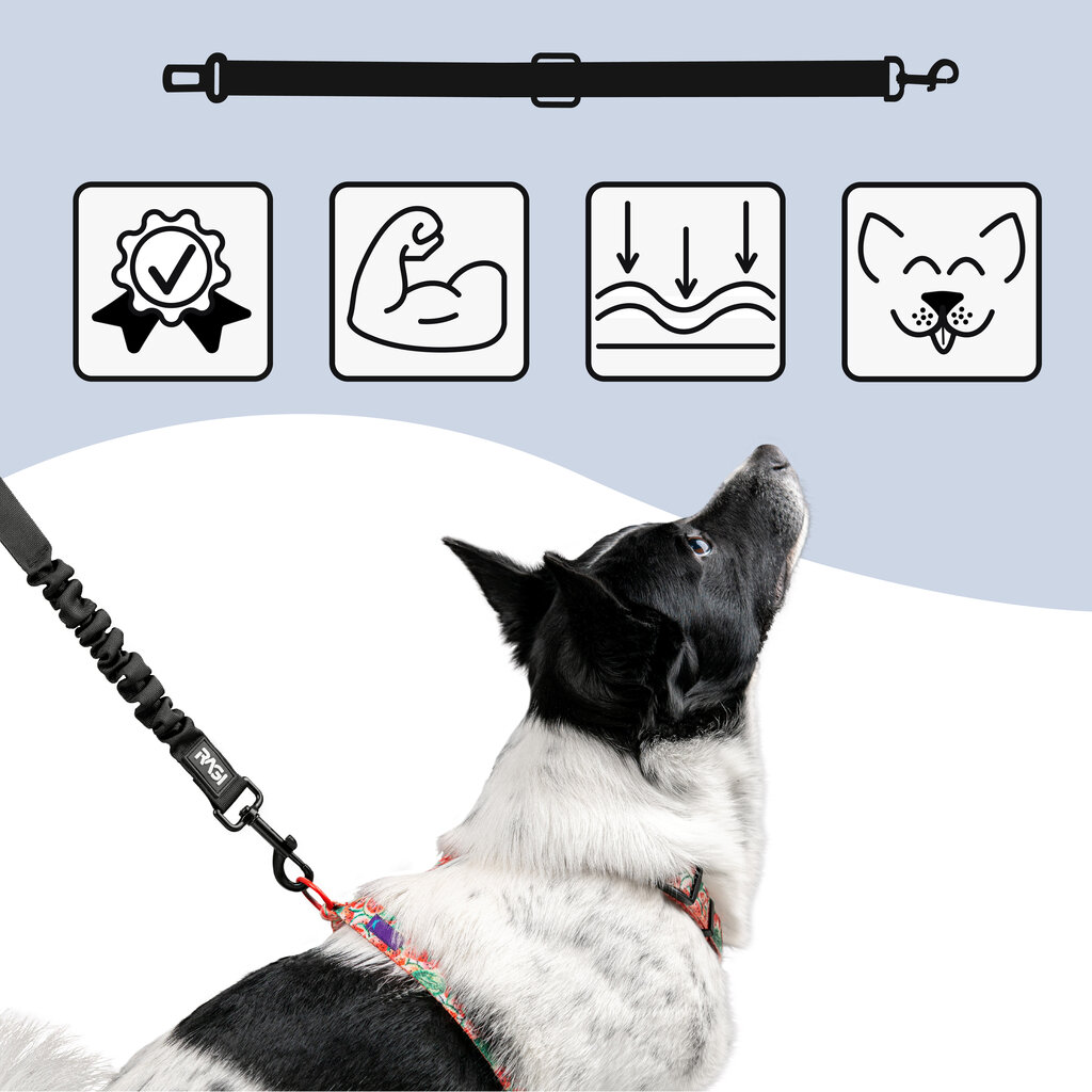 Amortizuojantis saugos diržas šunims Ragi kaina ir informacija | Kelioniniai reikmenys | pigu.lt