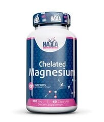 Maisto papildas raumenims Haya Labs Chelated Magnesium 60 vnt. kaina ir informacija | Vitaminai | pigu.lt