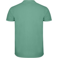 Polo marškinėliai vyrams Roly Star, žali kaina ir informacija | Vyriški marškinėliai | pigu.lt