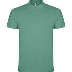 Футболка-поло для мужчин Star, зеленая цена и информация | Мужские футболки | pigu.lt