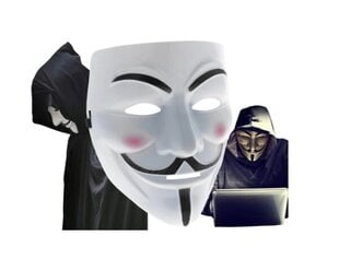 Маска для лица Anonymus цена и информация | Карнавальные костюмы | pigu.lt