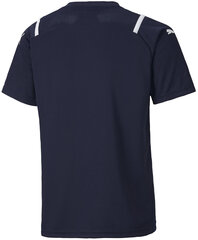 Puma Футболки TeamUltimate Jersey Jr Blue 705078 06 705078 06/152 цена и информация | Рубашки для мальчиков | pigu.lt