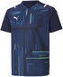 Puma marškinėliai paaugliams TeamUltimate Jersey Jr 705078 06, mėlyni цена и информация | Marškinėliai berniukams | pigu.lt