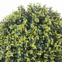 Dekoratyvinis augalas Kamuolys цена и информация | Искусственные цветы | pigu.lt