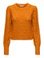 JDY džemperis moterims, orandžinis kaina ir informacija | Megztiniai moterims | pigu.lt