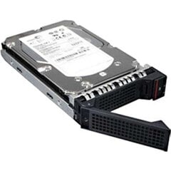 Lenovo 4XB7A77446 Thinksystem St50 цена и информация | Внутренние жёсткие диски (HDD, SSD, Hybrid) | pigu.lt