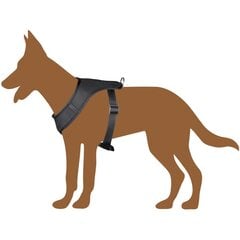 Petnešos šunims Dog, 67,6-106,5 cm, juodos kaina ir informacija | Antkakliai, petnešos šunims | pigu.lt