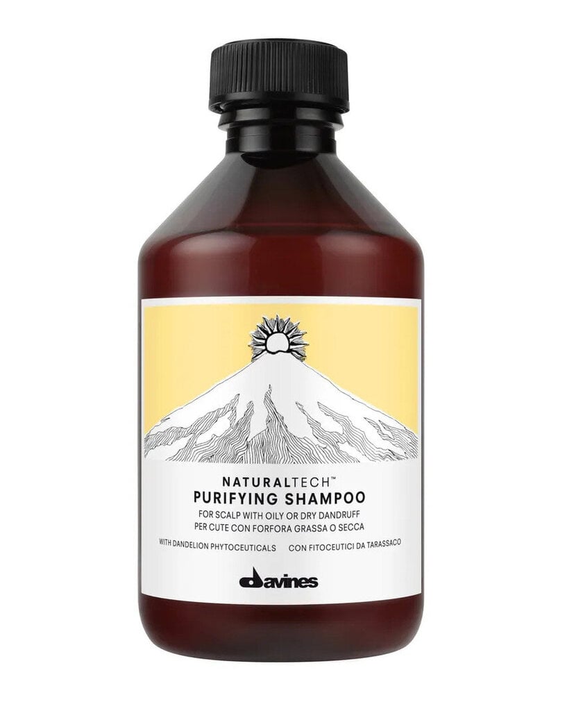 Šampūnas nuo pleiskanų Davines Naturaltech Purifying, 250ml kaina ir informacija | Šampūnai | pigu.lt