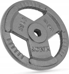 Ketaus diskinis svoris Gymtek Gy-1876587046, 10 kg, pilkas цена и информация | Гантели, гири, штанги | pigu.lt