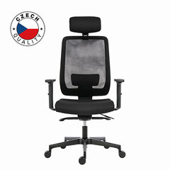 эргономичное офисное кресло powerton lucie, черный цена и информация | Офисные кресла | pigu.lt
