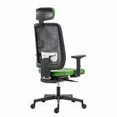 эргономичное офисное кресло powerton lucie, зеленый цена и информация | Офисные кресла | pigu.lt