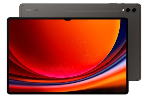 Планшет Samsung Tab S9 Ultra 5G 12/256GB Graphite SM-X916BZAAEUE цена и информация | Планшеты | pigu.lt