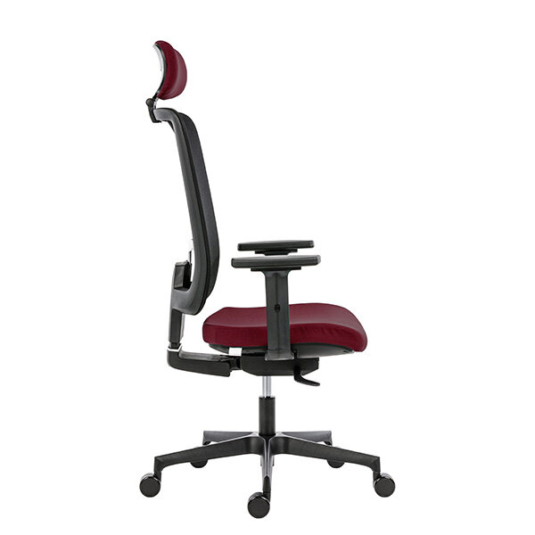 Ergonomiška biuro kėdė Powerton Lucie, raudona kaina ir informacija | Biuro kėdės | pigu.lt