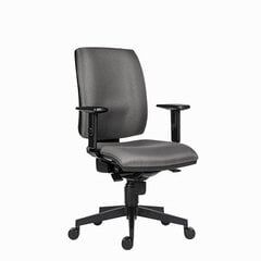 эргономичное офисное кресло hana, серое цена и информация | Офисные кресла | pigu.lt