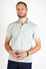 Polo marškinėliai vyrams Mcl, žali kaina ir informacija | Vyriški marškinėliai | pigu.lt