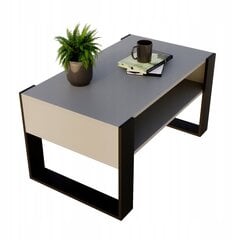 Kavos staliukas Perfektciecie Karo 92x53,6x45 cm, pilkas kaina ir informacija | Kavos staliukai | pigu.lt