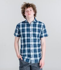 Мужская рубашка JACK & JONES 12199832*03, тёмно-синяя /зелёная, 5715212385672 цена и информация | Мужские рубашки | pigu.lt