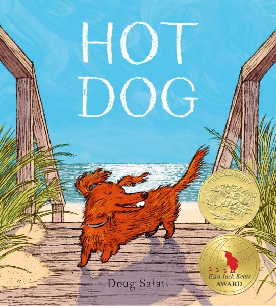 Hot Dog: (Winner of the 2023 Caldecott Medal) kaina ir informacija | Knygos paaugliams ir jaunimui | pigu.lt