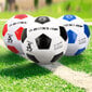 Futbolo kamuolys Dunlop, 5 dydis, baltas/mėlynas цена и информация | Futbolo kamuoliai | pigu.lt