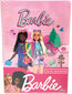 Kanceliarijos rinkinys Barbie Brave Explorers kaina ir informacija | Kanceliarinės prekės | pigu.lt