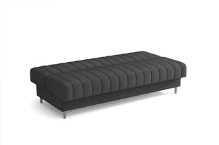 Диван-кровать Клара Мини, серый цвет цена и информация | Диваны | pigu.lt