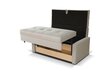 Sofa lova IVA 3 Gold, pilka kaina ir informacija | Sofos | pigu.lt