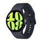 Samsung Galaxy Watch6 SM-R940 Graphite цена и информация | Išmanieji laikrodžiai (smartwatch) | pigu.lt