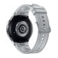 Samsung Galaxy Watch6 Classic 47mm BT Silver SM-R960NZSAEUE kaina ir informacija | Išmanieji laikrodžiai (smartwatch) | pigu.lt