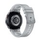 Samsung Galaxy Watch6 Classic SM-R955F Silver kaina ir informacija | Išmanieji laikrodžiai (smartwatch) | pigu.lt