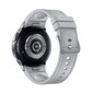 Samsung Galaxy Watch6 Classic 43mm BT Silver SM-R950NZSAEUE kaina ir informacija | Išmanieji laikrodžiai (smartwatch) | pigu.lt