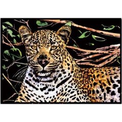 Kартина на скрапборде Yueluu Леопард A3 цена и информация | Принадлежности для рисования, лепки | pigu.lt