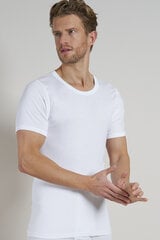 Marškinėliai vyrams Ceceba, balti kaina ir informacija | Vyriški marškinėliai | pigu.lt