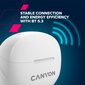 Canyon TWS-8 ENC White CNS-TWS8W цена и информация | Ausinės | pigu.lt