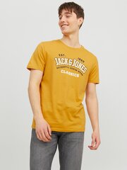 Jack & Jones мужская футболка 12233594*01, sinep 5715424056537 цена и информация | Футболка мужская | pigu.lt