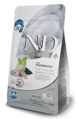 N&D DOG SPIRULINA SEA BASS FENNEL SOFT&SHINY WHITE COAT MINI для взрослых собак мелких пород, 2kг цена и информация | Сухой корм для собак | pigu.lt