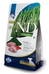 Farmina N&D Spirulina Puppy Mini su ėriena, 2 kg kaina ir informacija | Sausas maistas šunims | pigu.lt