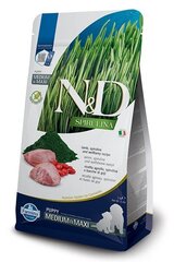 Farmina N&D Spirulina Lamb Puppy Medium/Maxi su ėriena, 2 kg kaina ir informacija | Sausas maistas šunims | pigu.lt