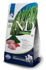 Farmina N&D Spirulina Adult Medium/Maxi su ėriena, 2 kg kaina ir informacija | Sausas maistas šunims | pigu.lt