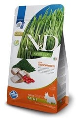 Farmina N&D Spirulina Adult Mini su silke, 2 kg цена и информация | Сухой корм для собак | pigu.lt