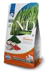 Farmina N&D Spirulina Adult Med/Maxi su silke, 2 kg kaina ir informacija | Sausas maistas šunims | pigu.lt