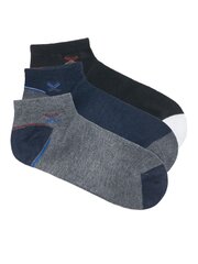 Kojinės vyrams Edoti, pilkos kaina ir informacija | Vyriškos kojinės | pigu.lt