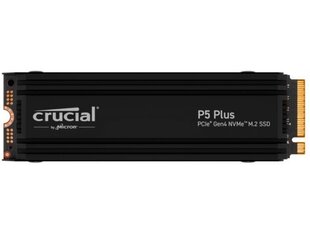 Crucial CT1000P5PSSD5 цена и информация | Внутренние жёсткие диски (HDD, SSD, Hybrid) | pigu.lt