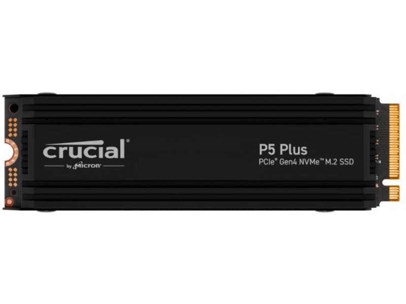 Crucial CT1000P5PSSD5 kaina ir informacija | Vidiniai kietieji diskai (HDD, SSD, Hybrid) | pigu.lt