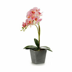 Dekoratyvinis augalas Orchidėja kaina ir informacija | Dirbtinės gėlės | pigu.lt