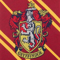 Harry Potter Gryffindor kaina ir informacija | Aksesuarai vaikams | pigu.lt