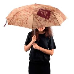 Складной зонт с картой «Гарри Поттер Мародер» 11795 цена и информация | Женские зонты | pigu.lt
